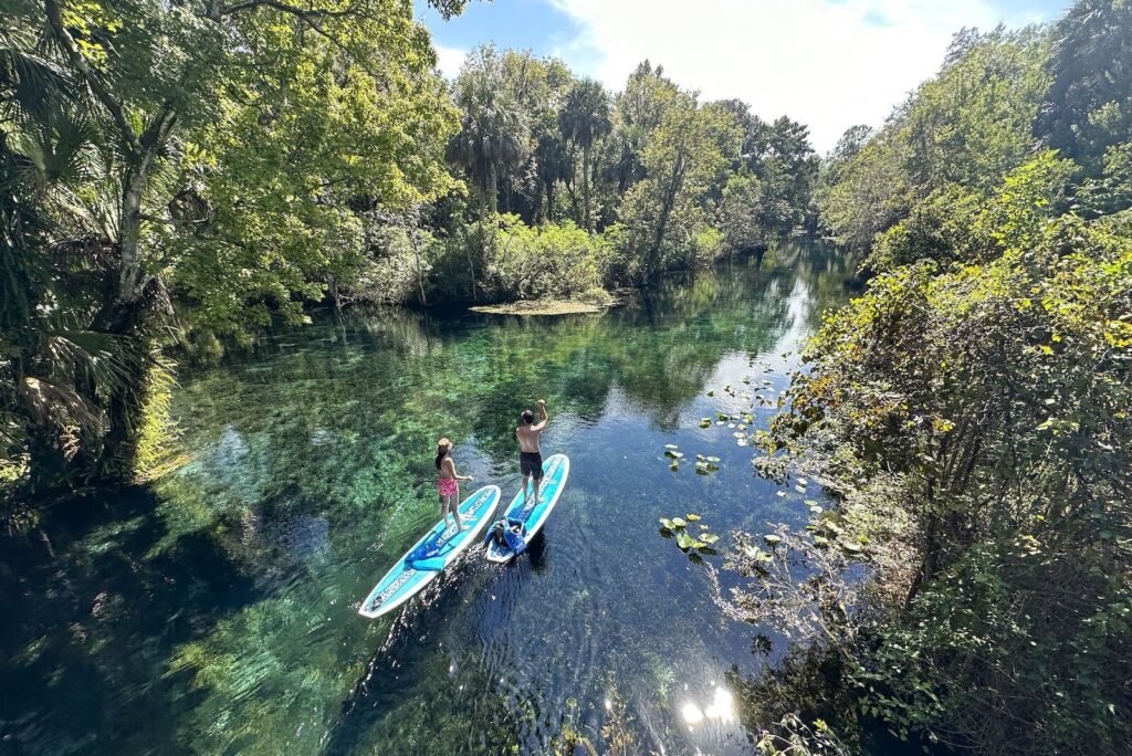 Two people paddleboarding on crystal-clear water at Silver Springs, Florida
